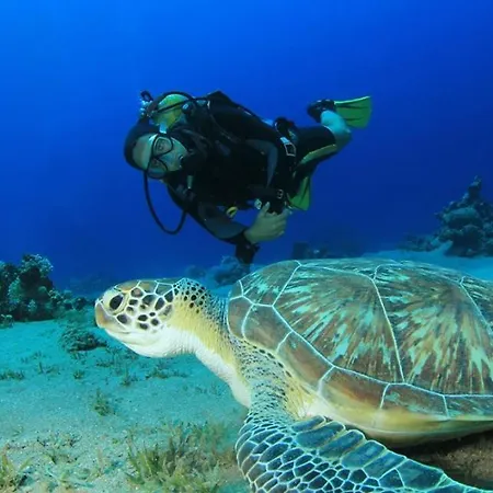 Seaview Апартаменты *