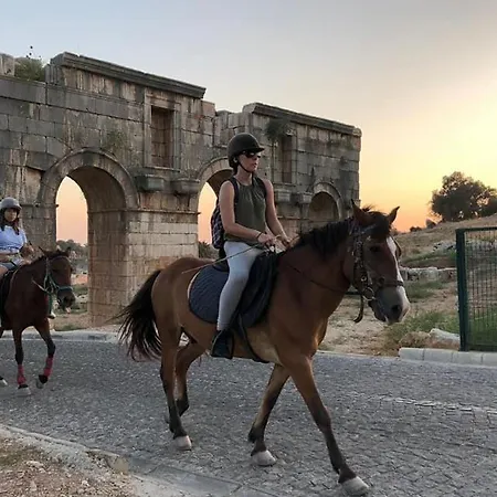 Апартаменты Seaview